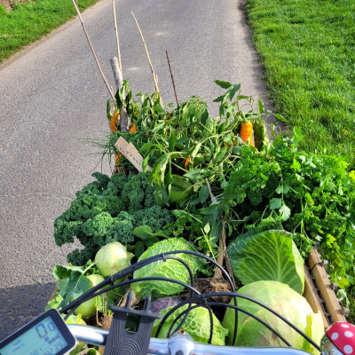 Riesen Ernte Riesen Ernte